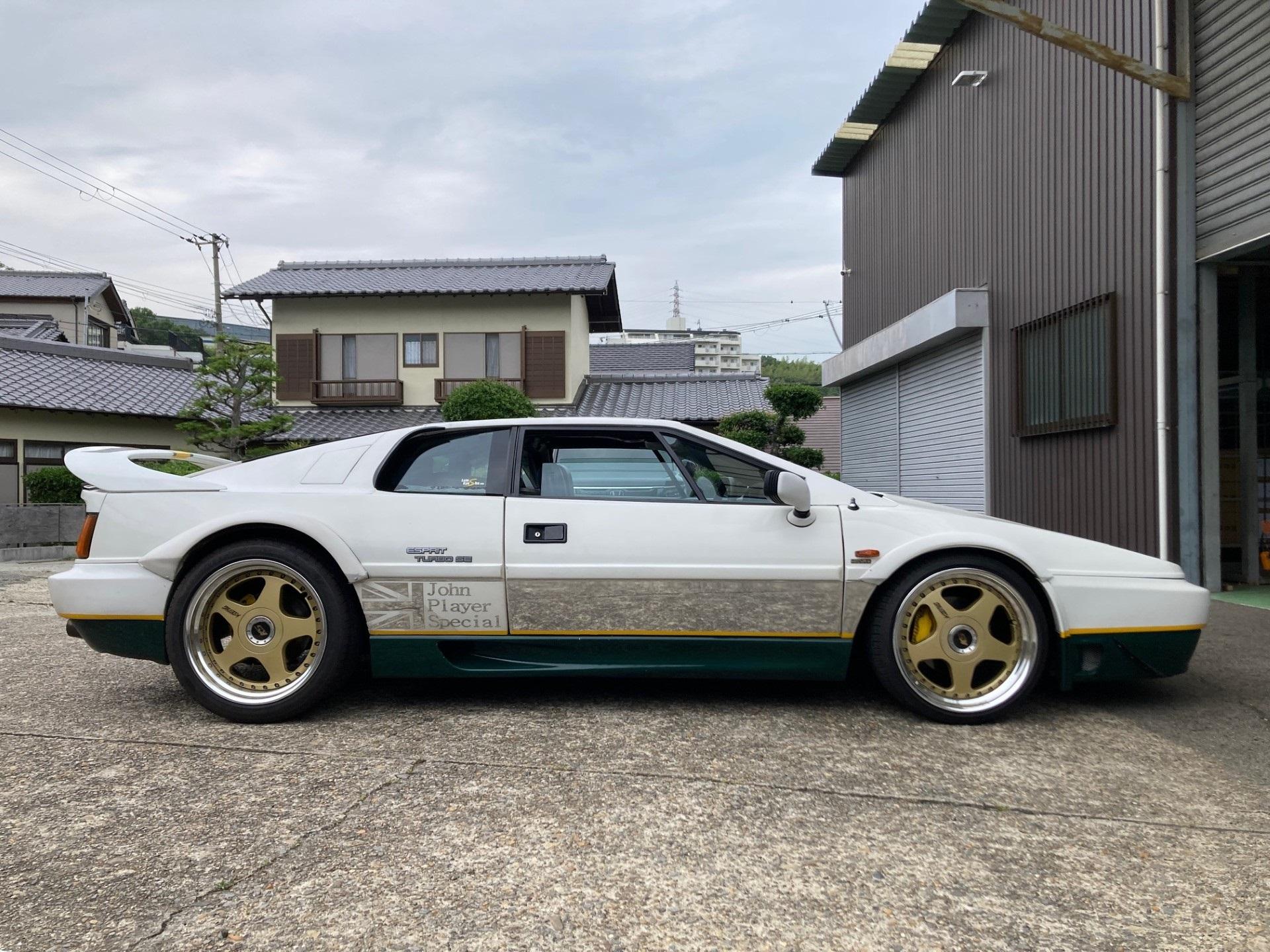 lotusesprit